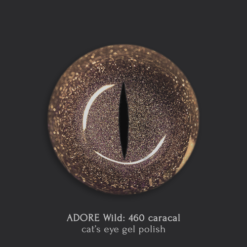 Wild Cat Eye Gel Polish - Image 2